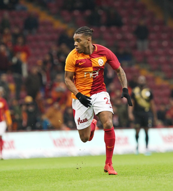 大马丁与奥 大马丁与奥