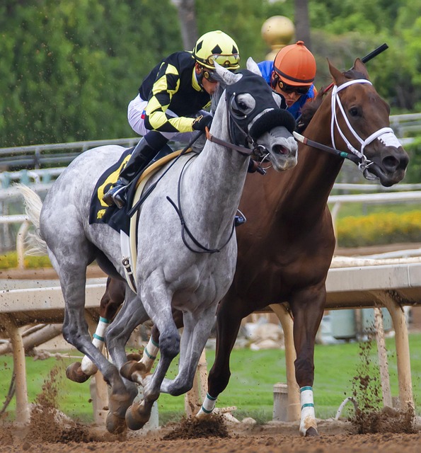 球世界中策 球世界中策